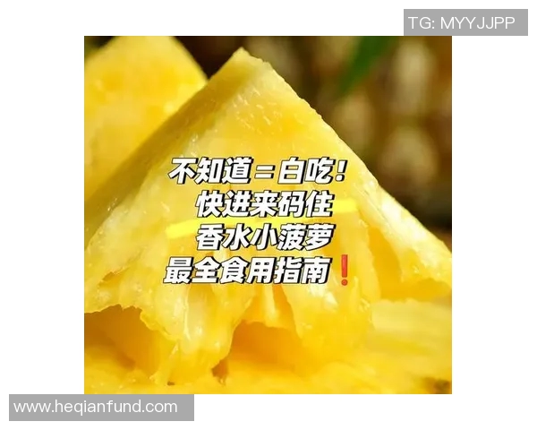 AL小奶油的美味探索与创意食谱分享让你爱上每一口的甜蜜滋味