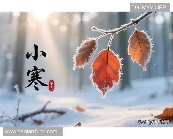 小寒时节情感波动加剧如何应对内心的伤痛与困惑 小寒时节情感波动加剧如何应对内心的伤痛与困惑