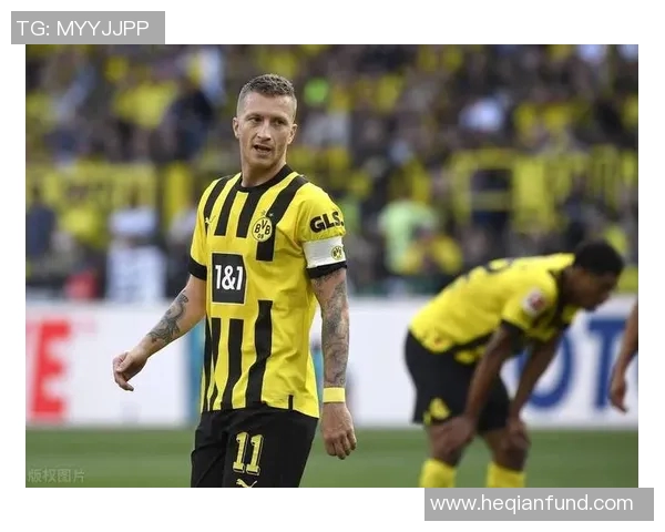 罗伊斯连续破门,多特蒙德止跌回升 罗伊斯连续破门,多特蒙德止跌回升